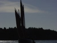 DSC01001