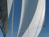 IMG 6172