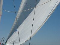 IMG 6184