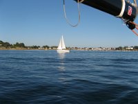 IMG 6229