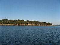 IMG 6235