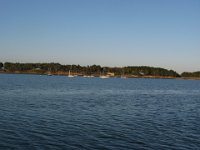 IMG 6241