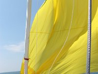 IMG 7770